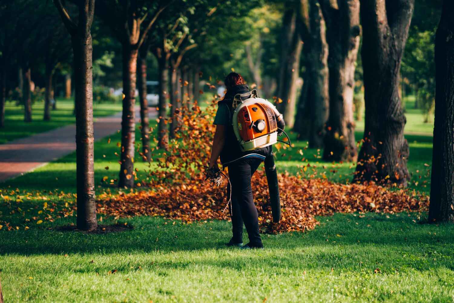 Trusted Fort Pierce, FL Tree Service Experts